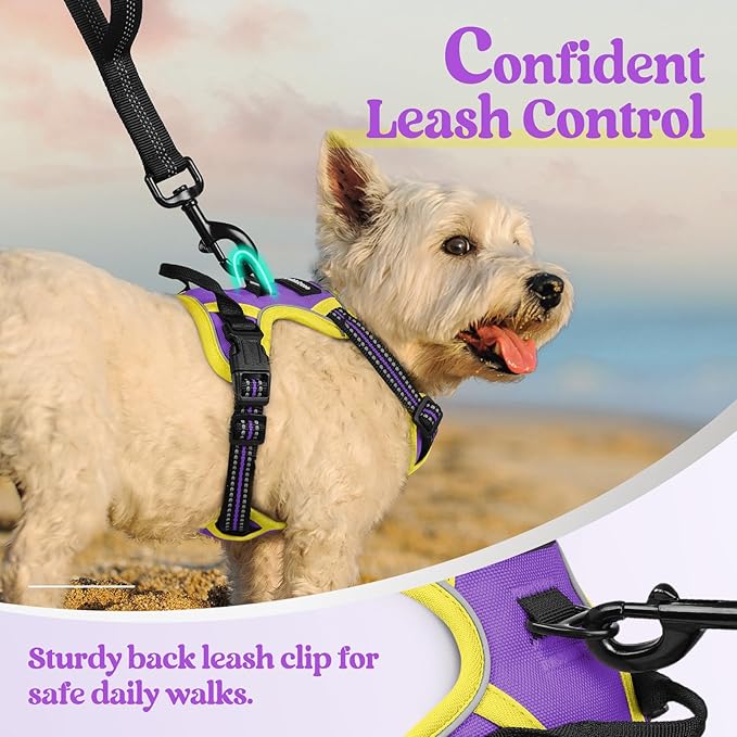 rabbitgoo Dog Harness No Pull with 2 Leash Clips, Adjustable Soft Padded, Reflective Oxford No Choke Pet Vest with Easy Control Handle for Puppy, Purple & Yellow, XS-Mewly Pet