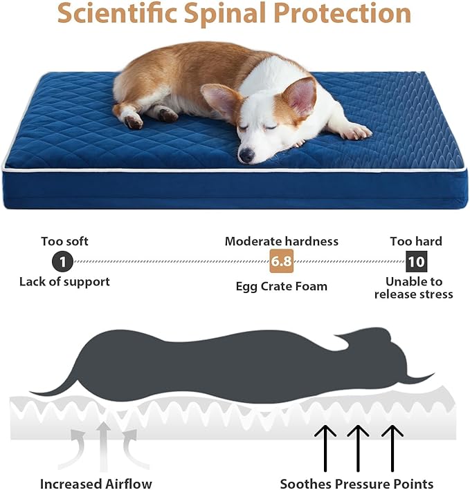 WNPETHOME Orthopedic Big Dog Beds Large Sized Dog, Waterproof Extra Large Dogs Bed with Removable Washable Cover, Multi-Needle Quilting Dogs Crate Bed-Mewly Pet