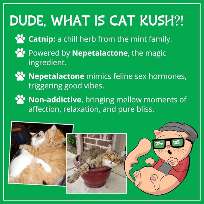 Organic Catnip by Cat Kush, Safe Premium Blend Perfect for Cats, Instilled with Maximized Potency your Kitty is Guaranteed to Go Crazy for! (1 Cup)-Mewly Pet