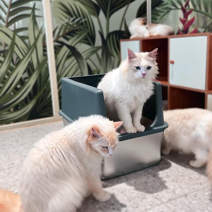 LIHONG Stainless Steel Litter Box with Lid, XL Metal Cat Box for Indoor Cats, Enclosure Cat Litter Pan for Large Cats, Non-Sticky Large Kitty Litter Box, Anti-Leakage, 23.5" X 15.5" X 16"-Mewly Pet