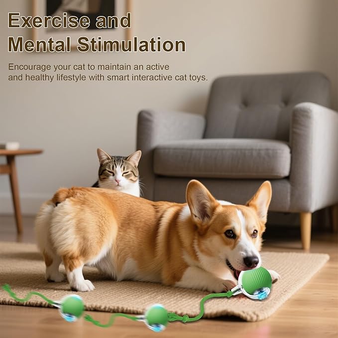 Interactive Cat Toy, 2025 New Interactive Rolling Cats Dog Toy Balls 360° Smart Automatic Rolling Pet Ball, Fast Moving Toy for Dog,Cat Ball Toy(Geen)-Mewly Pet