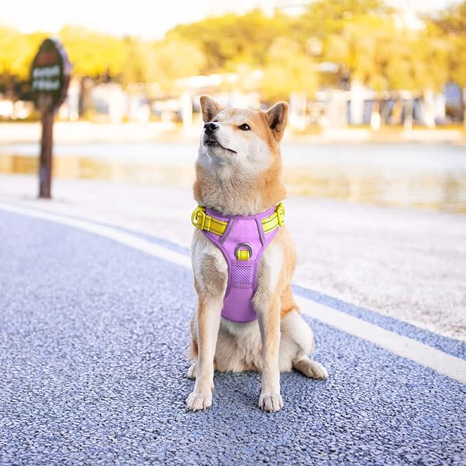 PHOEPET No Pull Dog Harness, Unique Colors Reflective Adjustable Dog Vest, with Soft Training Handle Metal Clips for Small Medium Large Dogs (Baby Purple Base & Yellow Straps,XL)-Mewly Pet