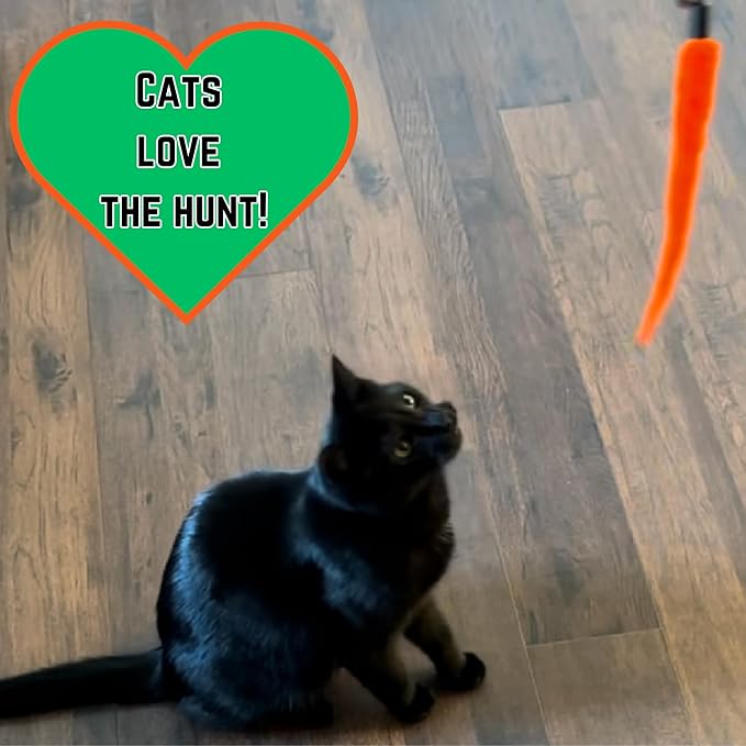 Smokey's Stash Interactive Cat Toy Wand 2pc Cat Fishing Pole Cat Toy for Indoor Cats with Feather and Funny Toy Refills to Drive Kittens Crazy-Mewly Pet