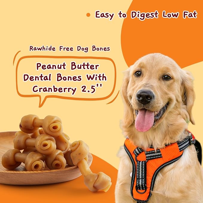 Jungle Calling Peanut Butter Dog Treats, Dental Puppy Chews, Rawhide-Free Bones for Small Dogs, 2.5''-Mewly Pet