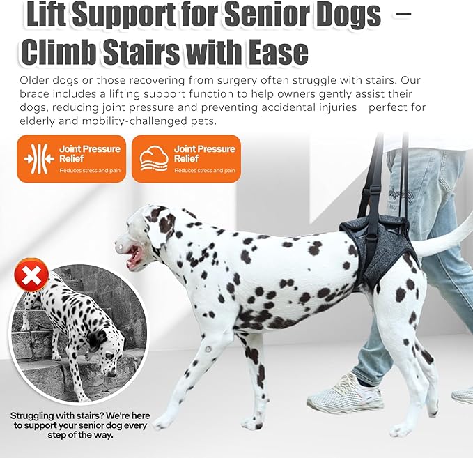 Dog Sling for Medium Large Dog Rear Leg, Lift Harness Provide Support with Muscle Atrophy and Joint Problems for Elderly Injured Arthritic Pet, Dog Weak Rear Legs Provides Rehabilitation Aid-Mewly Pet