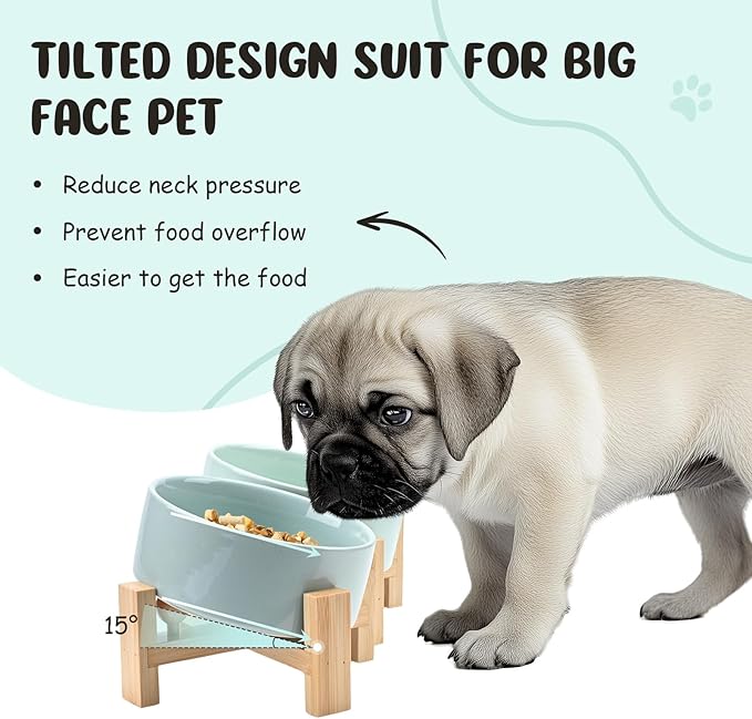 SPUNKYJUNKY 15° Slanted Ceramic Dog and Cat Bowl with Wooden Stand, Tilted Bulldog Food and Water Bowl No Slip Non-Spill for Cats Medium Dogs Big Face Pets 13.5 OZ (1.7 Cups, Morandi Green × 2)-Mewly Pet