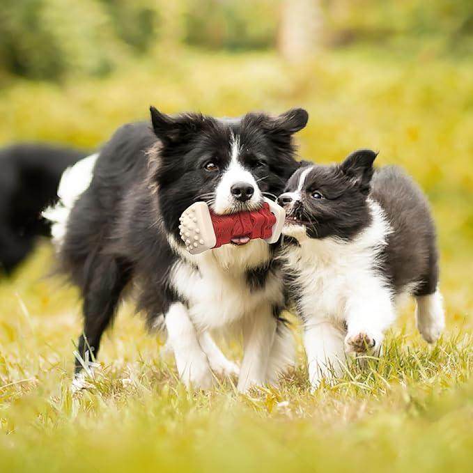 PcEoTllar Dog Toys for Aggressive Chewers, Indestructible Dog Chew Toys, Safe Rubber, for Large Medium Small Dogs - Red -M-Mewly Pet