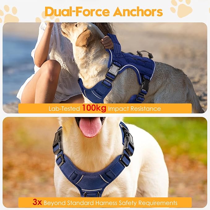 Heavy-Duty Tactical Dog Harness for Large Dogs, No Pull Adjustable Reflective Pet Vest with Molle System, K9 Military-Grade Control for Service Training, Outdoor & 10+ Breeds, Dazzling Blue, Small-Mewly Pet
