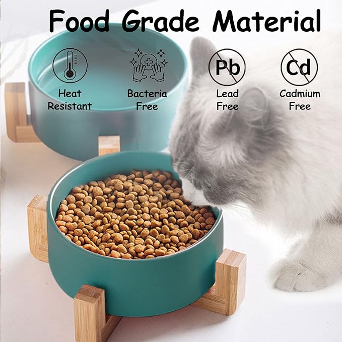 Petygooing Ceramic Dog Cat Bowl Set with Stand,Medium Dog Bowls,Pet Food and Water Dish, Anti -Slip Set of 2 Cat Bowls-Pet Food Bowl- Pet Dish Small Medium Size Pet (28 OZ /3.6 Cups) Green-Mewly Pet