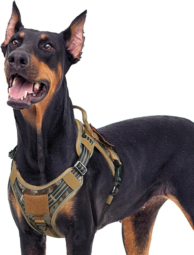 rabbitgoo Dog Harness for Large Dogs No Pull, Tactical Service Pet Vest with Molle and Control Handle, Adjustable and Reflective Military Harness for Easy Walking and Training, Desert camo, XL-Mewly Pet