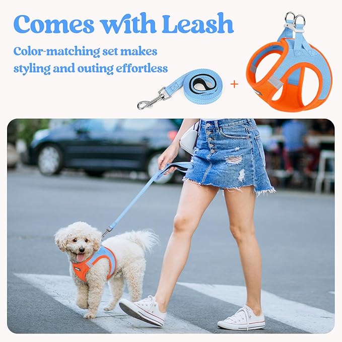 rabbitgoo Dog Harness Small Sized and Leash Set, Step in Soft Light Puppy Vest, Breathable Mesh Pet Harness, Reflective for Safe Easy Walking, Blue & Orange XXXS-Mewly Pet