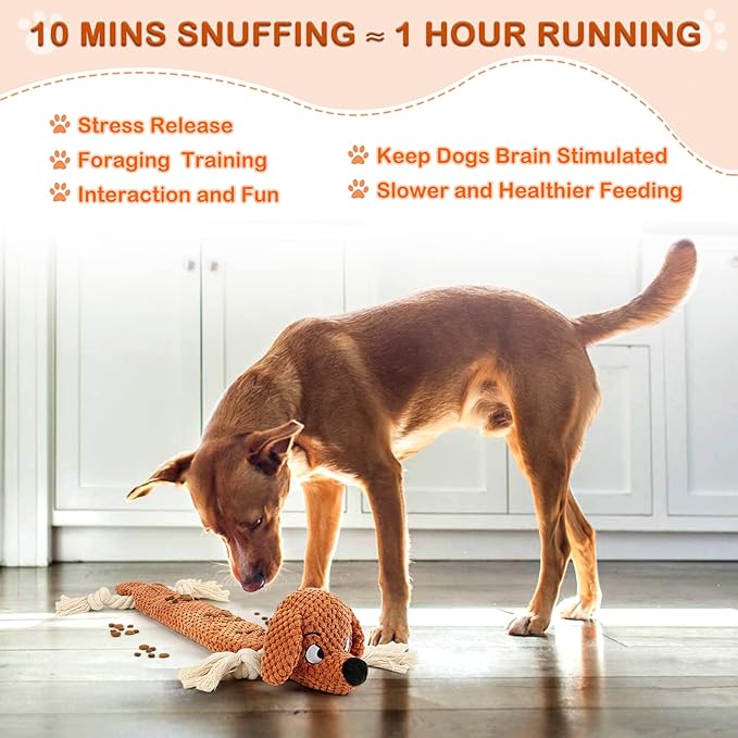 Dog Toys,Squeaky Dog Chew Toy with Crinkle Paper,Interactive Tough Plush Rope Toys for Small Medium Large Dogs with Gift Boxes-Mewly Pet