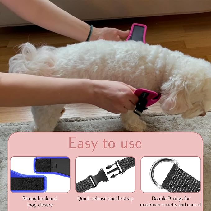 Comfort Fit No Pull Dog Harness – Adjustable Step-in Vest for Small, Medium & Large Dogs, Soft Padded with Leash Clips, Reflective Straps & Handle-Mewly Pet