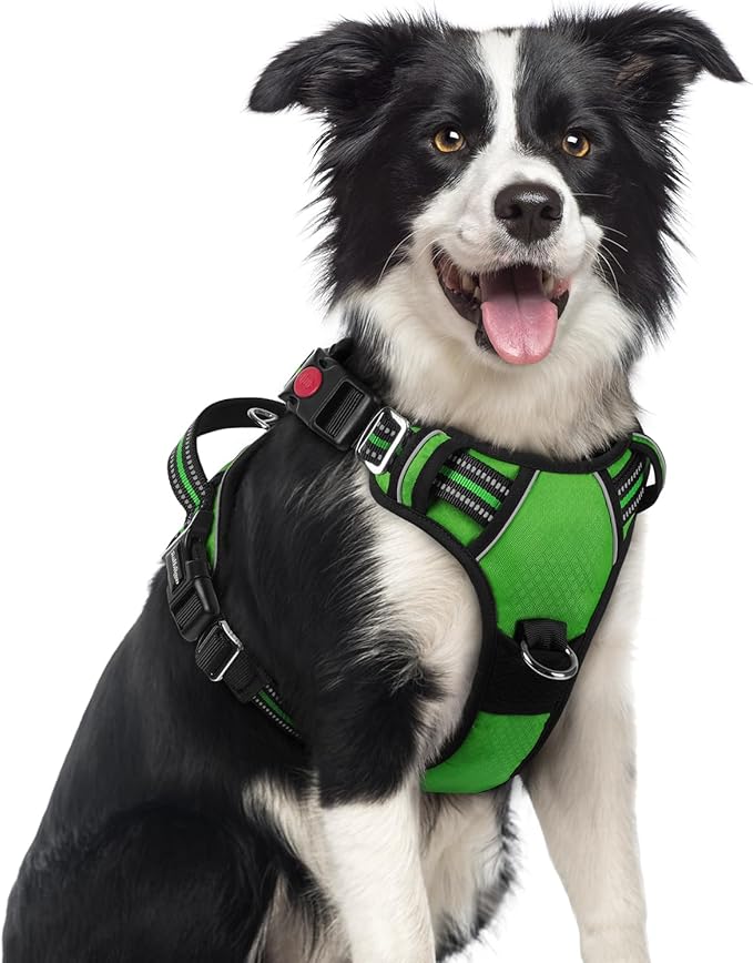 rabbitgoo Dog Harness Medium Sized, No Pull Dog Vest with 3 Buckles, Adjustable Soft Padded Pet Harness with Easy Control Handle and Reflective Strips, Green, M-Mewly Pet