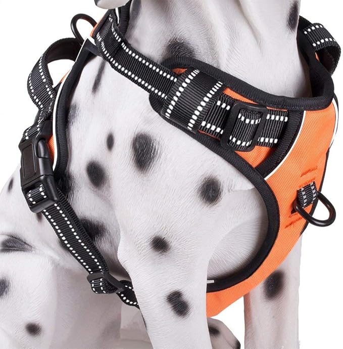 PoyPet No Pull Dog Harness, Reflective Comfortable Vest Harness with Front & Back 2 Leash Attachments and Easy Control Handle Adjustable Soft Padded Pet Vest for Small to Large Dogs (Orange,XS)-Mewly Pet