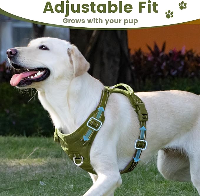 No Pull Dog Harness, Reflective Puppy Vest for Small Medium Large Sized Dog (Misty Green,M)-Mewly Pet