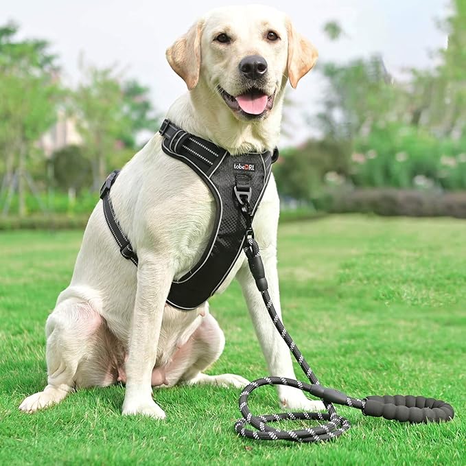 No Pull Dog Harness Adjustable Reflective Oxford Easy Control Medium Large Dog Harness with A Free Heavy Duty 5ft Dog Leash (XL (Neck: 21.5"-33", Chest: 30"-39.5"), Black Harness+Leash)-Mewly Pet