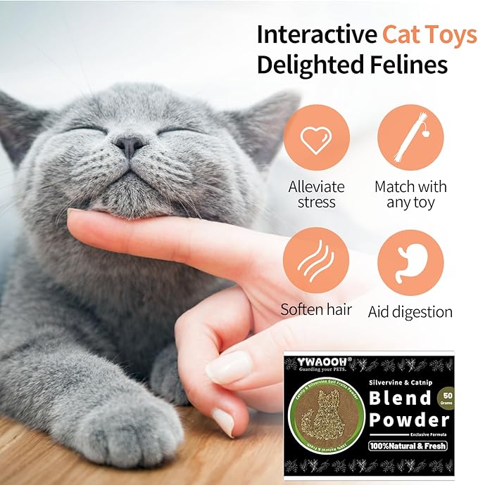 Catnip & Silvervine Powder – 50g Blend of Silvervine Gall Fruit & Catnip, Non-Addictive, for All Cat Ages, Multi-Use with Toys, Scratchers & Protecting Furniture, with 5 Little Pouches-Mewly Pet