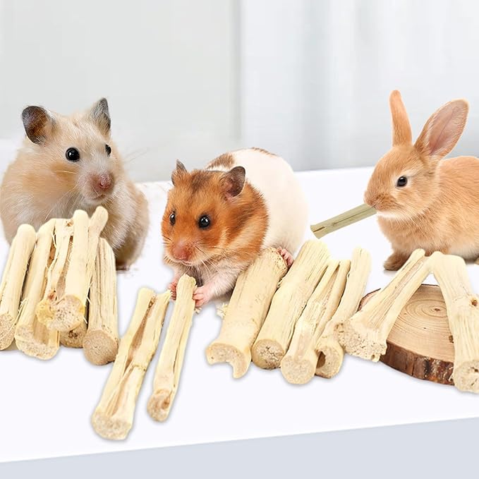 1000g/2.2lb Sweet Bamboo Sticks for Rabbits, Guinea Pig Chew Toys Bunny Toys for Rabbits Indoor, Teething Toy for Small Animals Rabbits, Hamsters, Chinchillas, Guinea Pigs-Mewly Pet