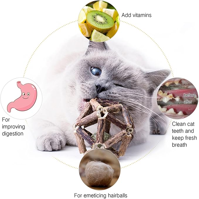 Catnip Toys-2Pcs Natural Silvervine Stick Catnip Ball&Bell Ball-Cat Toys for Indoor Cats- Cleaning Teeth Molar Tools Matatabi Cat Chew Toy-Kitten Toys All Breeds-Mewly Pet