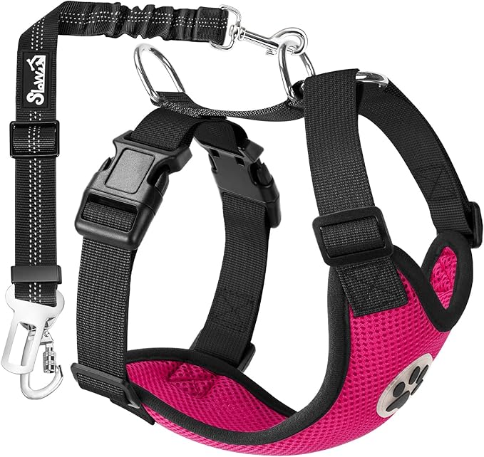 SlowTon Dog Seat Belt Harness for Car, Dog Car Harness Adjustable Mesh Breathable & Dog Seatbelt Safety Tether with Elastic Bungee for Small Medium Large Pets(Fuchsia, Double Clip, M)-Mewly Pet