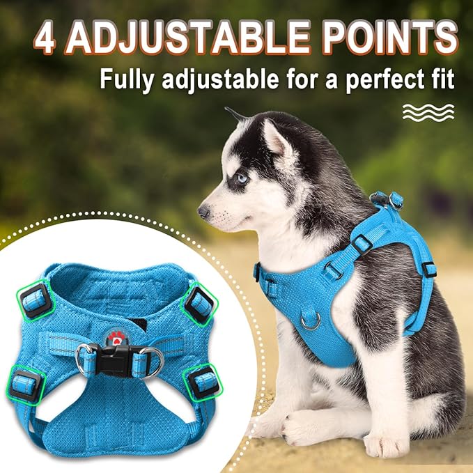 Dog Harness Step in Dog Vest Harness, Reflective Adjustable Puppy No Pull Harness Breathable Soft for Small and Medium Dogs Cats, Blue, XS-Mewly Pet