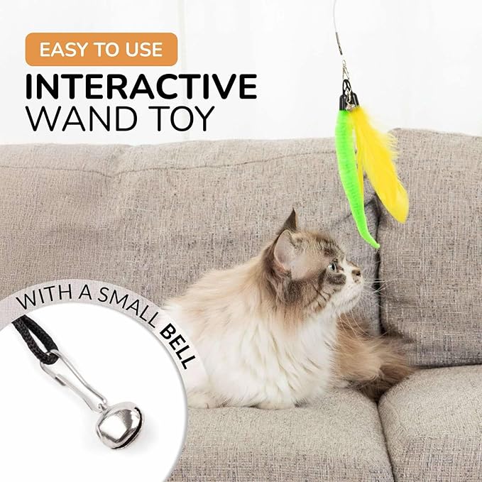 PAWSITIVE Interactive Cat Toys - Retractable Feather Wand with Refill Set 12PCS - Perfect for Indoor Cats to Chase, Exercise & Bond with Their Owners-Mewly Pet