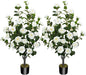 2 Pack 43.3"/3.6FT Artificial Camellia Tree Fake Outdoor Tree with 32 Blooming Flowers White Tree for Home Front Door Winter Christmas Indoor Decor (Including Dried Moss)