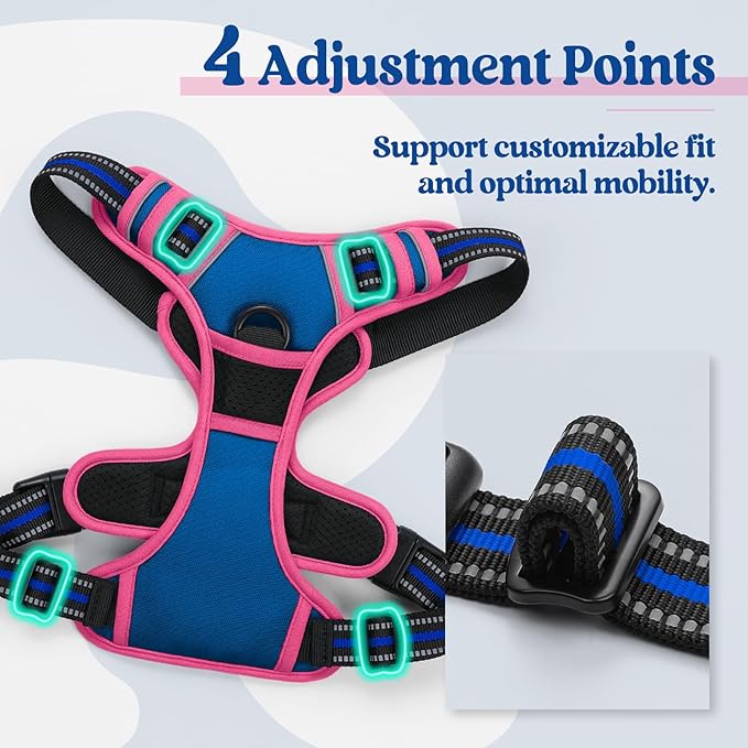 rabbitgoo Dog Harness No Pull with 2 Leash Clips, Adjustable Soft Padded, Reflective Oxford No Choke Pet Vest with Easy Control Handle for Large Dogs, Blue & Hot Pink, L-Mewly Pet