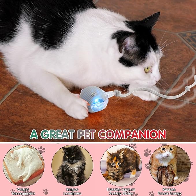 Interactive Cat Toys for Indoor Cats, 360° Smart Rolling Cats Toys, Self Rolling Interactive Cat Dog Ball, Electric Moving Peppy Pet Ball Toy, Dog Toys to Keep Them Busy (3 Pcs)-Mewly Pet