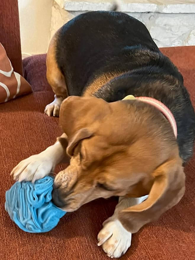 Puppy and Small Breed Snuffle Interactive Foraging Dog Puzzle Ball Toy Blue-Mewly Pet