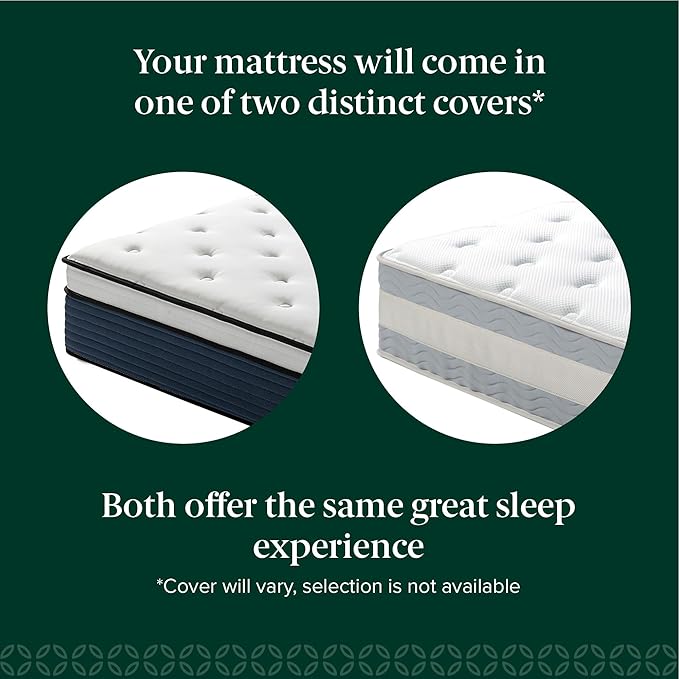 ZINUS 12 Inch Comfort Support Hybrid Mattress [New Version], Queen, Fiberglass Free, Medium Plush, Motion Isolation, Certified Safe Foams & Fabric, Mattress in A Box