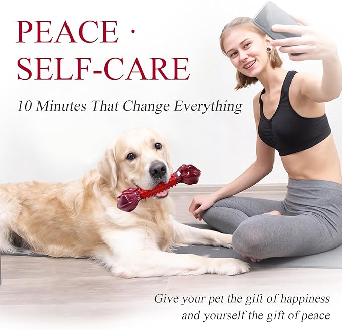 Apasiri Tough Dog Toys for Aggressive Chewers Beef Flavor: 8" Dog Chew Bone for Large Breed, Nylon & Rubber Chew Toy for Medium Large Dogs-Mewly Pet