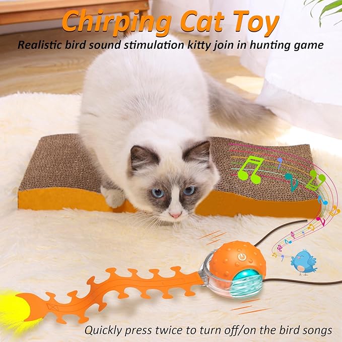 Interactive Cat Toys for Indoor Cats, Fast Rolling Cat Ball with Centipede Tail, Birds Chirping Touch Activated Automatic Kitten Toy, Rechargeable Toys for Cats to Keep Them Busy-Mewly Pet