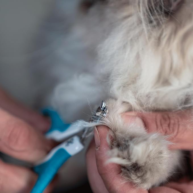 Mr. Pen- Cat Nail Clipper, Pet Nail Trimmers, Kitten Claw Clippers, Easy to Use, Precision and Sharp Cut-Mewly Pet