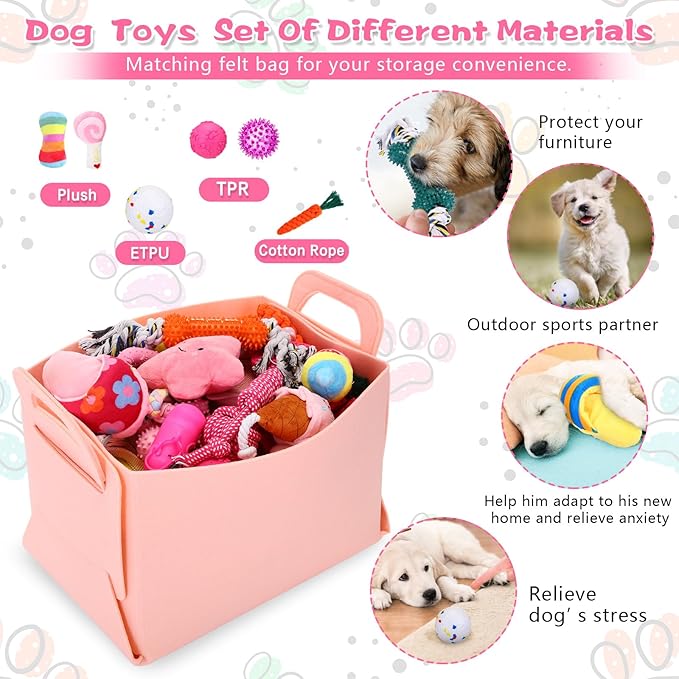 65 Pcs Puppy Supplies Starter Kit Small Dog Essentials Includes Dog Leash, Toys, Bowl, Brushes, Water Bottles, pet Blankets Puppy Accessories for New Welcome Gift Supplies(Cute,Pink)-Mewly Pet