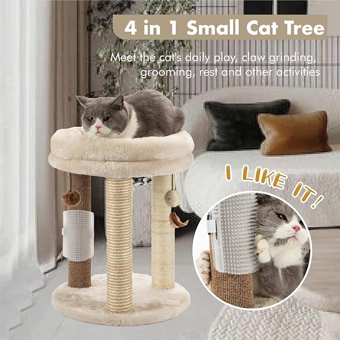 MECOOL 4in1 Small Cat Tree,Scratching Post with Tower Soft Bed, Sisal Carpet Jute Posts with Three Hanging Ball Toys and Massage Brush for Indoor Cats and Kittens-Mewly Pet