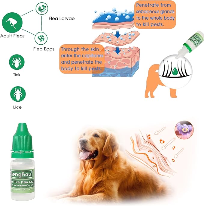 Flea and Tick Collar for Small Dog, Made with Natural Plant Based Essential Oil, Safe and Waterproof, Free Comb and Prevention Treatment Drop, 2x6 Month, 13.8 in (2 Packs)-Mewly Pet