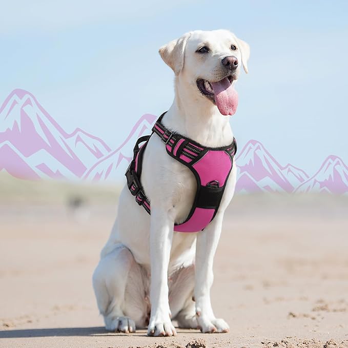 Eagloo Dog Harness for Large Dogs, No Pull Service Vest with Reflective Strips and Control Handle, Adjustable and Comfortable for Easy Walking, No Choke Pet Harness with 2 Metal Rings, Rose Red, L-Mewly Pet