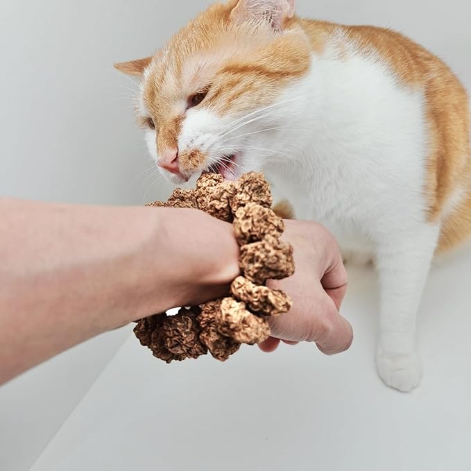 Natural Silvervine Gall Fruit Cat-Attracting Bracelet,Interactive Cat Toy for Indoor Cats,Cat Chew Toy with Gallfruit | Catnip & Silvervine Alternative, Stress Relief & Gift-Mewly Pet