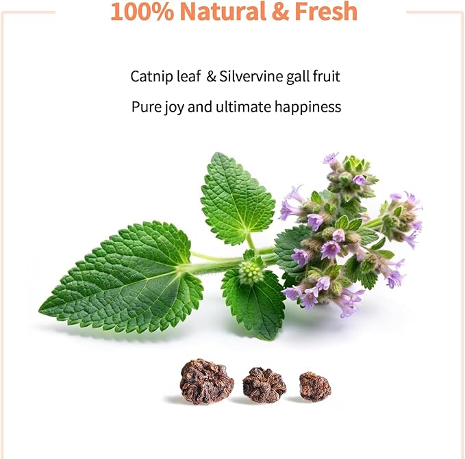 Catnip & Silvervine Powder – 50g Blend of Silvervine Gall Fruit & Catnip, Non-Addictive, for All Cat Ages, Multi-Use with Toys, Scratchers & Protecting Furniture, with 5 Little Pouches-Mewly Pet