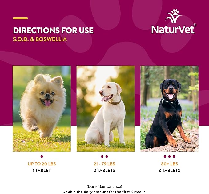 NaturVet S.O.D. & Boswellia Extra Joint Support Dog Supplement – Dog Hip Supplement – Helps Alleviate Aches, Pain – for Dog Flexibility, Healthy Joint Function – 500 Ct. Chewable Tablets-Mewly Pet