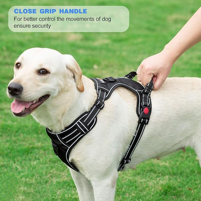 No Pull Dog Harness Adjustable Reflective Oxford Easy Control Medium Large Dog Harness with A Free Heavy Duty 5ft Dog Leash (M (Neck: 14.5"-20.5", Chest: 22"-28"), Red Harness+Leash)-Mewly Pet