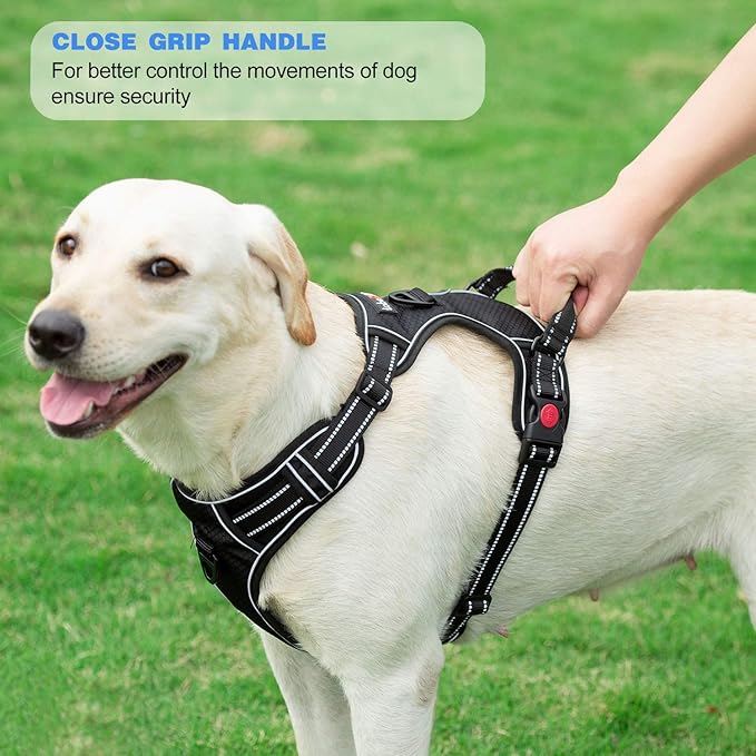 No Pull Dog Harness Adjustable Reflective Oxford Easy Control Medium Large Dog Harness with A Free Heavy Duty 5ft Dog Leash (S (Chest: 17.5"-21"), Orange Harness+Leash)-Mewly Pet