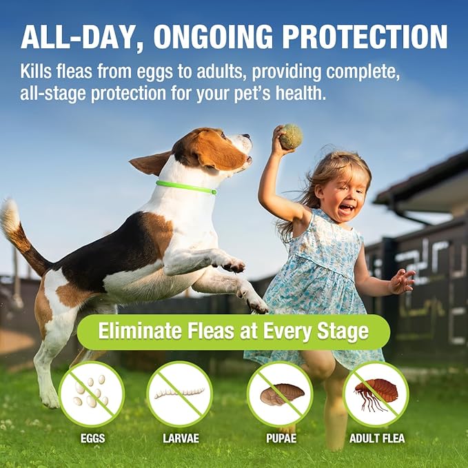 EcoVenger Flea & Tick Collar Repellent 2-Pack Green, Fits Both Dogs & Cats, Built-in Pant-Based Formula Strong Repellency Slow Release, Lasting Deterrence and Protection, Pleasant Aroma, Waterproof-Mewly Pet