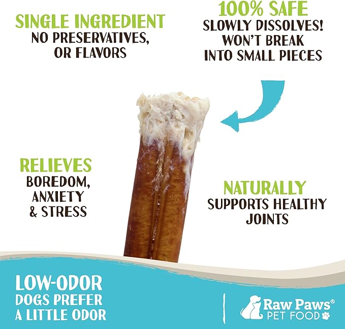 Raw Paws Standard Bully Sticks for Small Dogs, 6-Inch (10 Count) - Low Odor Junior Bully Chews - Free-Range Pizzle Sticks for Dogs - Single Ingredient Dog Chews - Rawhide Alternative - Long Lasting-Mewly Pet