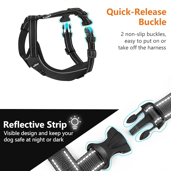 Dog Seat Belt Harness for Car, Dog Car Harness Adjustable Mesh Breathable & Dogs Seatbelt Safety Tether with Elastic Bungee for Small Medium Large Pets(Carbon Black, L)-Mewly Pet