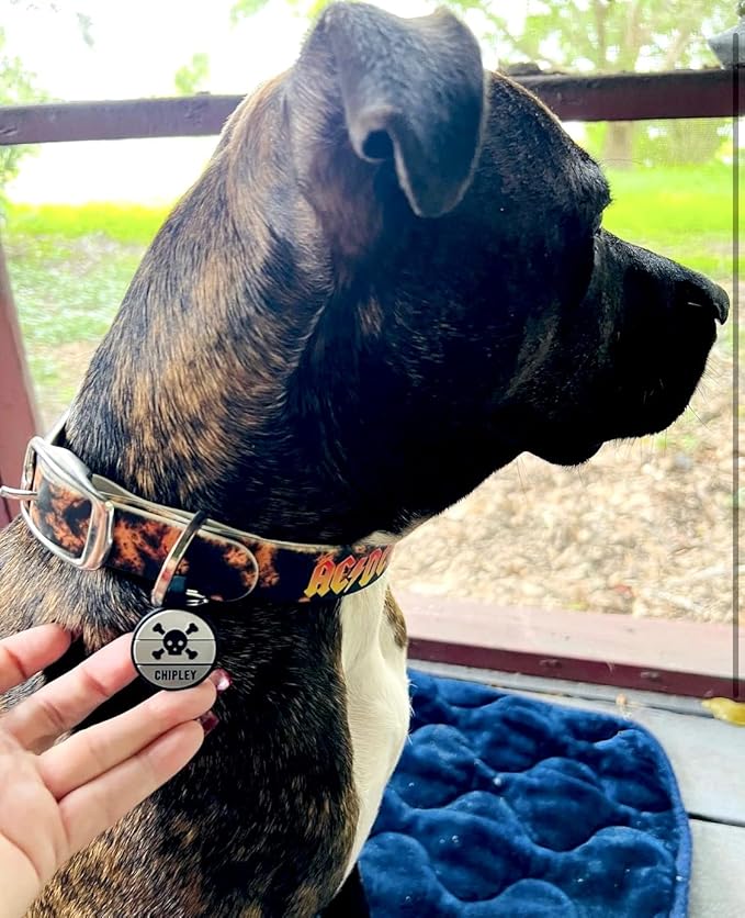 LYP Original Soundless Pet ID Tags | Custom Dog Tags Personalized for Pets | Durable Silicone Deep Engraved Dog Tag | No More Jingling | Skull & Crossbones-Mewly Pet