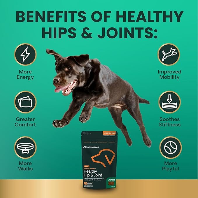 VetriScience Ultimate Strength Healthy Hip & Joint Chews, GlycoFlex Glucosamine, Chondroitin and Green-Lipped Mussel Joint Support Supplement for Dogs, Soothe Joint Discomfort, Duck, 60 Count-Mewly Pet