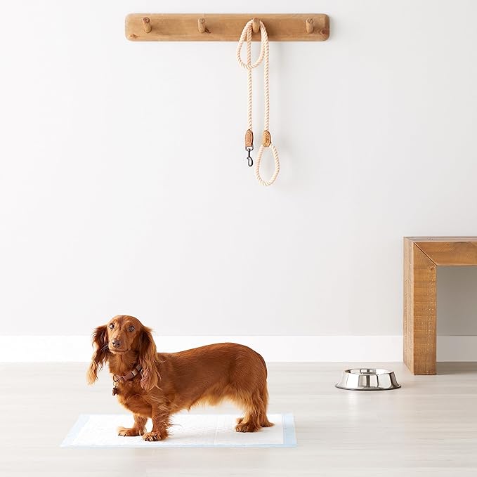 Amazon Basics Heavy Duty Dog and Puppy Pee Pads, 5-Layer Leak-Proof Ultra Absorbent, Quick-Dry Surface, Potty Training, Regular (24x23"), 50 Count, Blue & White-Mewly Pet